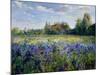 Evening at the Iris Field-Timothy Easton-Mounted Giclee Print