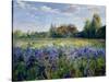 Evening at the Iris Field-Timothy Easton-Stretched Canvas