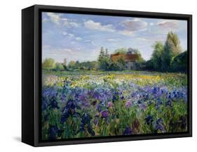 Evening at the Iris Field-Timothy Easton-Framed Stretched Canvas