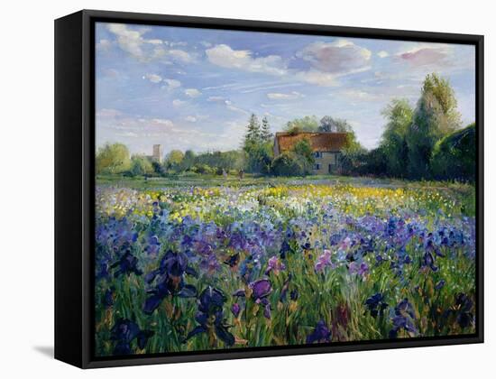 Evening at the Iris Field-Timothy Easton-Framed Stretched Canvas