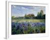 Evening at the Iris Field-Timothy Easton-Framed Giclee Print