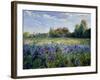 Evening at the Iris Field-Timothy Easton-Framed Giclee Print