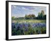 Evening at the Iris Field-Timothy Easton-Framed Giclee Print