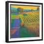 Evening at the Vineyards, Tuscany-Ian Roberts-Framed Art Print