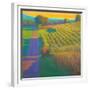 Evening at the Vineyards, Tuscany-Ian Roberts-Framed Art Print