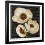 Evening Bloom II-Vivien Rhyan-Framed Art Print