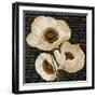 Evening Bloom II-Vivien Rhyan-Framed Premium Giclee Print