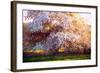 Evening Blossom, 2018-Helen White-Framed Giclee Print