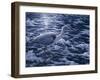 Evening Blues-Jeff Tift-Framed Giclee Print