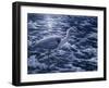 Evening Blues-Jeff Tift-Framed Giclee Print