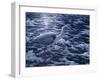 Evening Blues-Jeff Tift-Framed Giclee Print