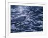 Evening Blues-Jeff Tift-Framed Giclee Print