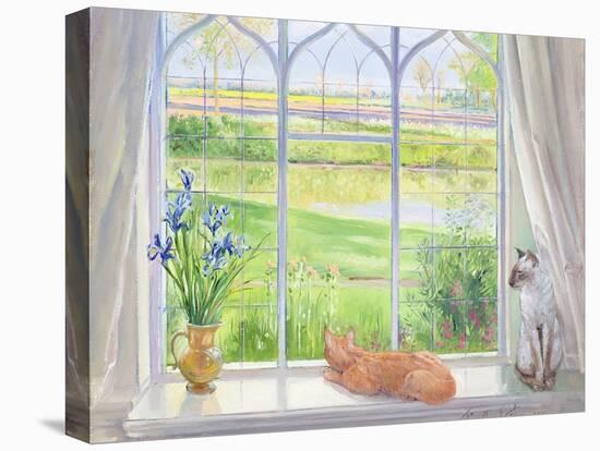 Evening Breeze-Timothy Easton-Stretched Canvas