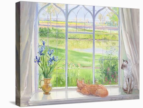 Evening Breeze-Timothy Easton-Stretched Canvas