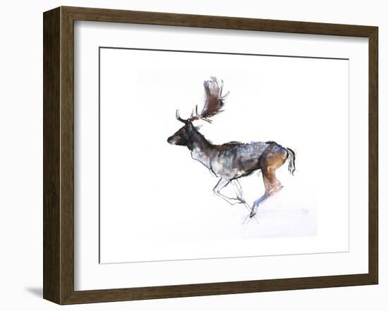 Evening Buck (Fallow Deer), 2007-Mark Adlington-Framed Giclee Print