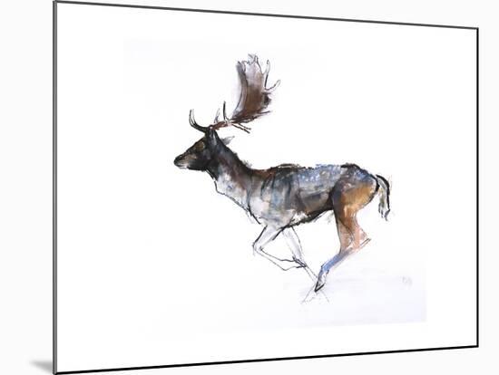 Evening Buck (Fallow Deer), 2007-Mark Adlington-Mounted Giclee Print