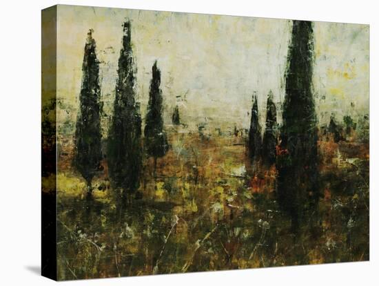 Evening Calm II-Jodi Maas-Stretched Canvas