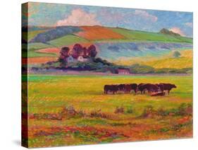 Evening Cattle, Cuckmere Valley, Sussex-Robert Tyndall-Stretched Canvas