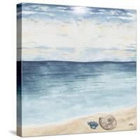 Evening Coast View II-Elizabeth Medley-Stretched Canvas