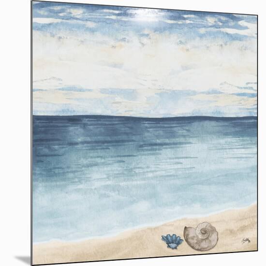 Evening Coast View II-Elizabeth Medley-Mounted Art Print