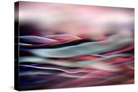 Evening Colours-Ursula Abresch-Stretched Canvas