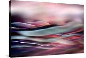 Evening Colours-Ursula Abresch-Stretched Canvas