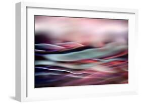 Evening Colours-Ursula Abresch-Framed Photographic Print