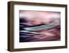 Evening Colours-Ursula Abresch-Framed Premium Photographic Print