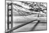 Evening Commute (BW)-Dave Gordon-Mounted Photographic Print