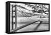 Evening Commute (BW)-Dave Gordon-Framed Stretched Canvas