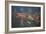 Evening Departure-John Bradley-Framed Giclee Print