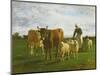 Evening, Driving Cattle, 1859-Constant-emile Troyon-Mounted Giclee Print