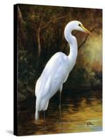 Evening Egret-Kilian-Stretched Canvas