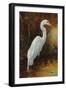 Evening Egret-Kilian-Framed Art Print