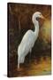 Evening Egret-Kilian-Stretched Canvas