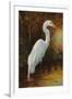 Evening Egret-Kilian-Framed Art Print