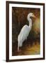 Evening Egret-Kilian-Framed Art Print