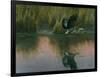 Evening Flight - Great Blue Heron-Wilhelm Goebel-Framed Giclee Print