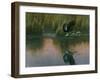 Evening Flight - Great Blue Heron-Wilhelm Goebel-Framed Giclee Print