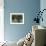 Evening Flight - Great Blue Heron-Wilhelm Goebel-Framed Giclee Print displayed on a wall