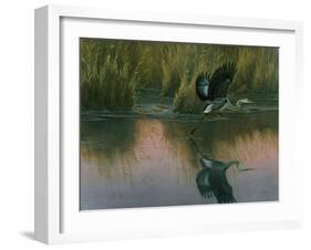 Evening Flight - Great Blue Heron-Wilhelm Goebel-Framed Giclee Print