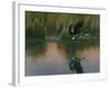 Evening Flight - Great Blue Heron-Wilhelm Goebel-Framed Giclee Print