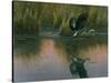 Evening Flight - Great Blue Heron-Wilhelm Goebel-Stretched Canvas
