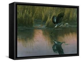 Evening Flight - Great Blue Heron-Wilhelm Goebel-Framed Stretched Canvas