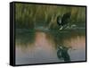 Evening Flight - Great Blue Heron-Wilhelm Goebel-Framed Stretched Canvas