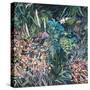 Evening Garden-rose lascelles-Stretched Canvas