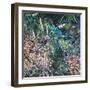 Evening Garden-rose lascelles-Framed Giclee Print