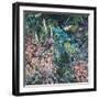 Evening Garden-rose lascelles-Framed Giclee Print