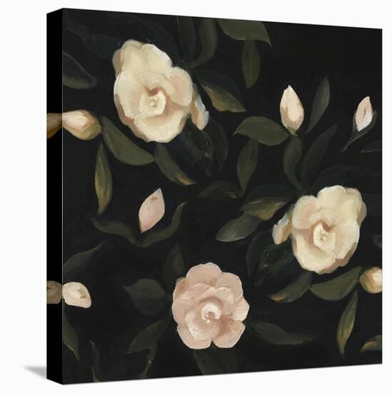 Evening Gardenias I-Emma Scarvey-Stretched Canvas