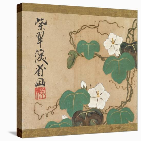 Evening Glories-Ogata Kenzan-Stretched Canvas